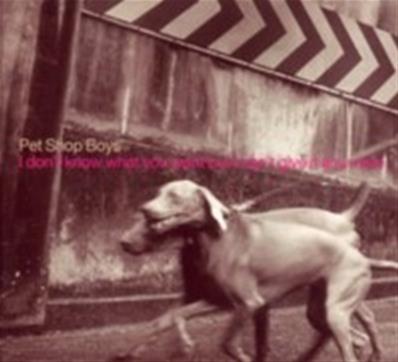 PET SHOP BOYS / I DON'T KNOW WHAT YOU WANT BUT I CAGN'T GIVE IT ANY MORE / PROMO CDS UK
