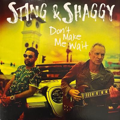 Sting & Shaggy - Don't Make Me Wait (Remix)